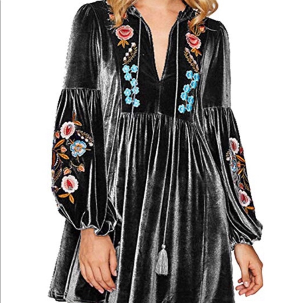 NEVER WORN! Velvet Embroidered Dress